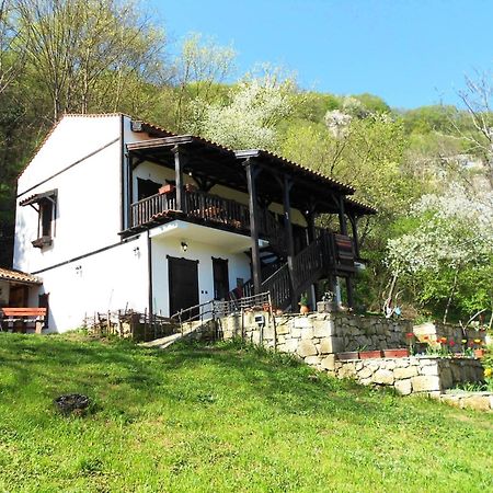 Milkovata Guest House Koshov Buitenkant foto